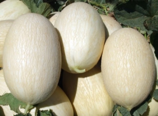 Melões
